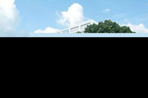 到底多少分才够上一类校？