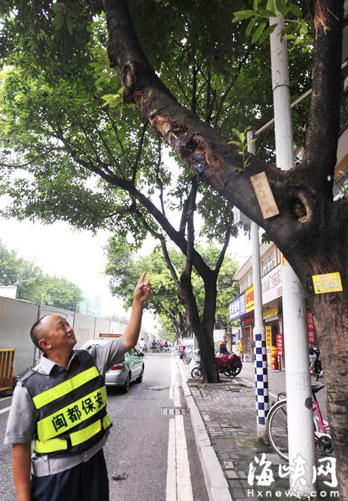 何师傅手写了块提示牌挂树上（画圈处） &nbsp;