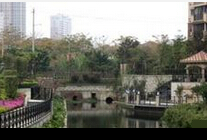 沿街餐饮店私接管道排污 江南水都景观河黑臭不堪