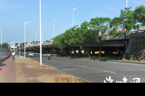 南台大道移树60余棵 盛夏无处遮阴1公里路气温高