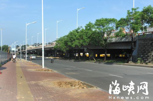 南台大道移树60余棵 盛夏无处遮阴1公里路气温高