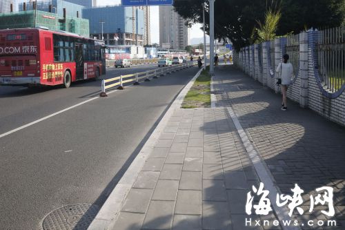 上浦路绿树迟迟不回植 市民盼绿荫