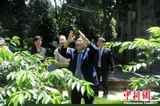 冲绳民间大使到访福建高校 愿与师生共赏樱花