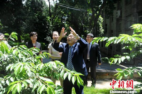 冲绳民间大使到访福建高校　愿与师生一同赏樱花
