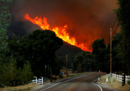 高温还在美国引发多处山火。新墨西哥州、亚利桑那州和加州都遭到山火侵袭，给温度“火上浇油”。在洛杉矶，过火地区的部分居民被迫离开家园。炎热的天气，也给消防员扑灭山火带来了困难和危险。