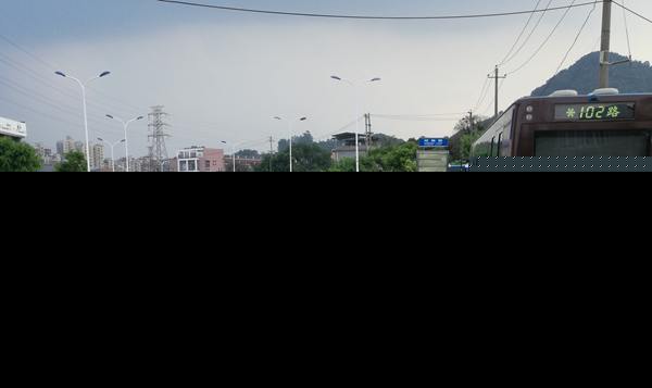 西庄路多个公交站台成“光头” 乘客暴晒难忍