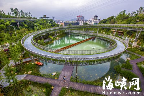 盛夏里“福道”白天气温高游客少 市民建议迟点关门
