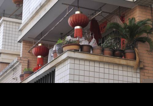 台风季来了 “排弹”刻不容缓