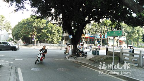 湖东路斑马线设计不合理 非机动车逆行进树汤路(图)