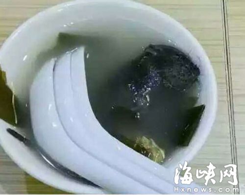 福州宝龙“米叔家”餐厅 汤桶舀出一只死老鼠