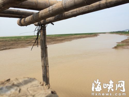 闽江河口湿地保护区：两工人抄近道 泥潭溺亡
