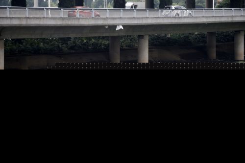 琴亭湖清淤腐臭味浓重扑鼻 湖面漂垃圾和死鱼