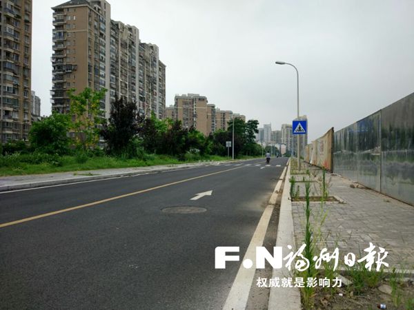港头外路210个树池只栽1棵树 园林局:8月底施工