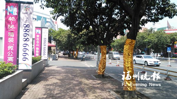 楼盘前行道树被裹“金衣” 园林部门介入处理