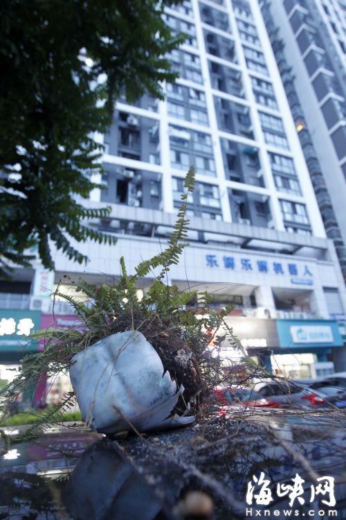 花盆高空坠下百万捷豹被开瓢 维修费或要上万