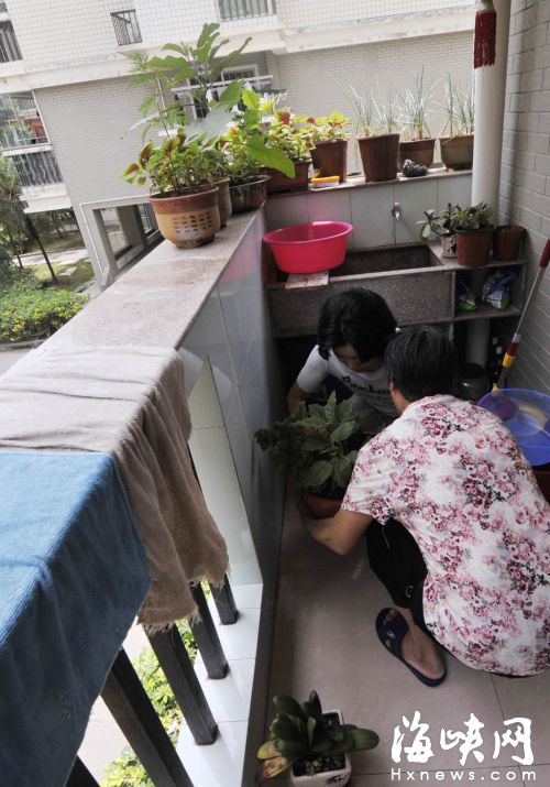 福州仓山一小区摆数百无防护花盆 部分业主拒不搬离