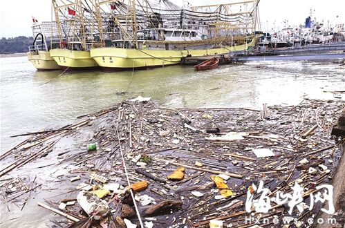 “名成渔业专用码头”漂满垃圾，触目惊心