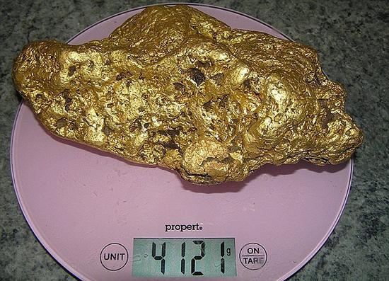 男子在丛林中挖出4.1公斤天然大金块 价值166万