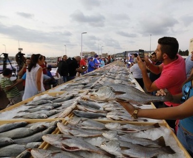 海鲜爱好者的盛宴！黎巴嫩展示逾两吨海鲜创世界纪录