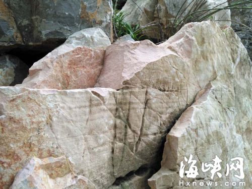 福州南公园太湖石采购花800万 只报价480万