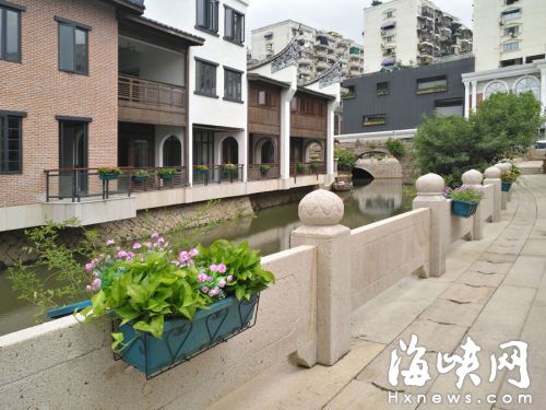 福州上下杭花箱插假花引热议 管理单位：节约型绿化