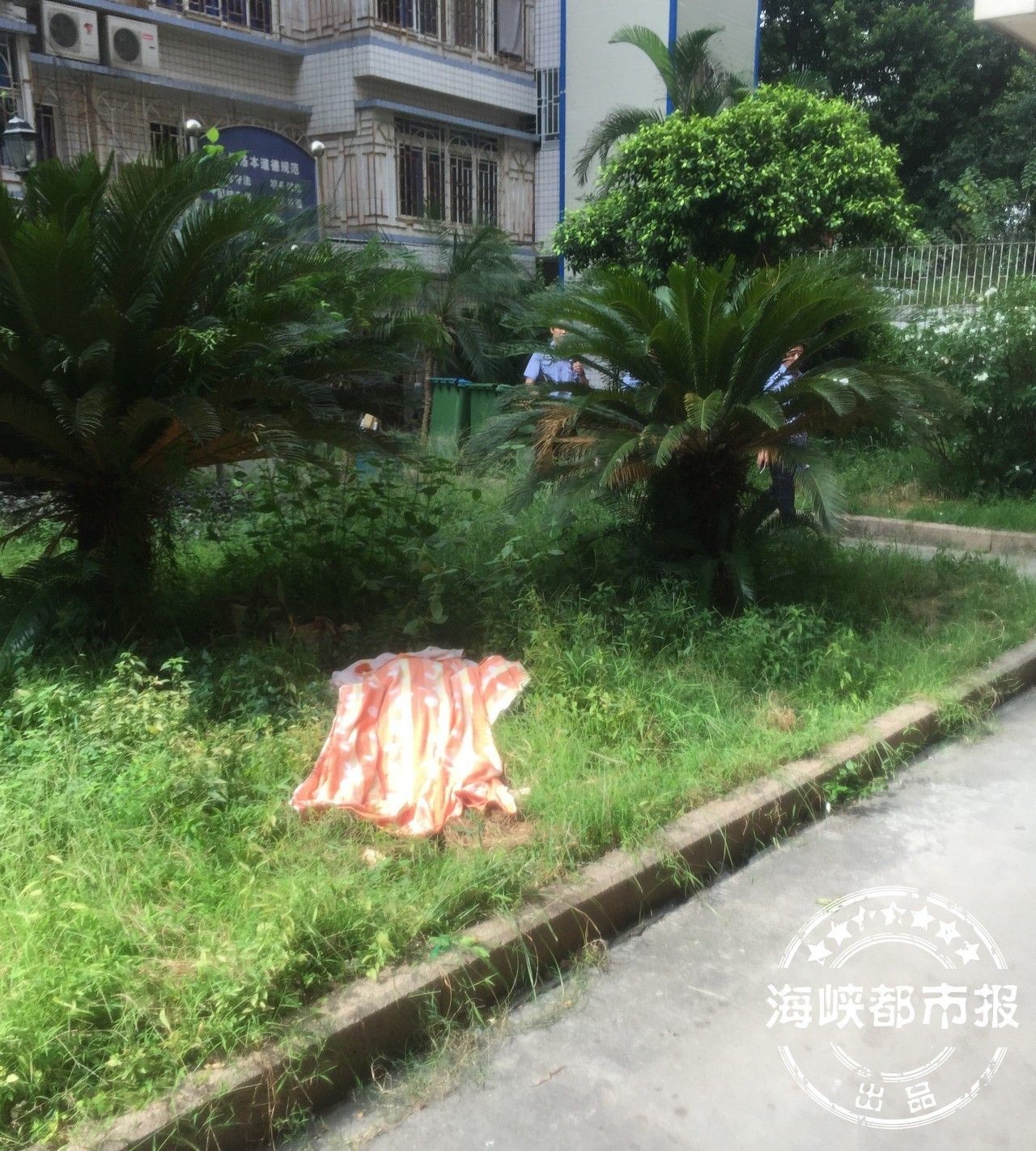 福州五旬女子患病多年 丈夫外出后跳楼轻生