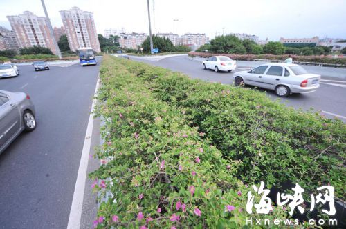 少年甩了出去从，桥面的缝隙间坠下