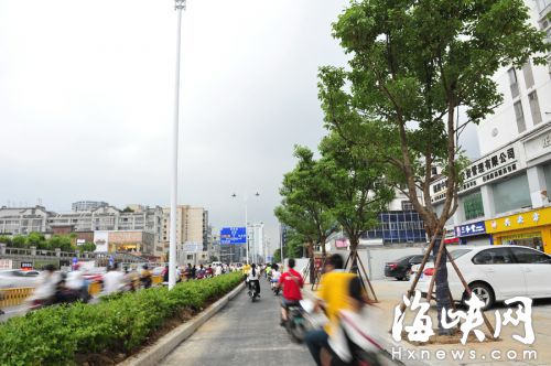 福州东街口至南门兜拆围挡 两侧共种百余棵樟树