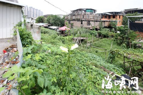 福州金山流花溪南段有望展露新颜 拆违建拓河道