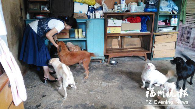 民间动物救助中心将搬迁 200多只流浪犬无家可归