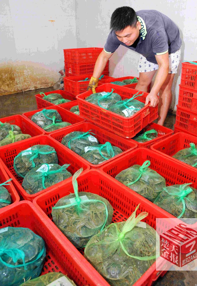武汉4两母蟹一斤卖180元，价格创15年新高