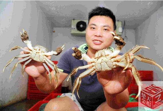 武汉4两母蟹一斤卖180元，价格创15年新高