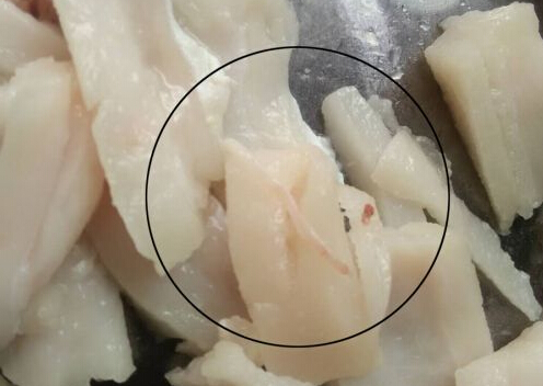 猪肉里长虫子？或为血管神经 食用不影响健康