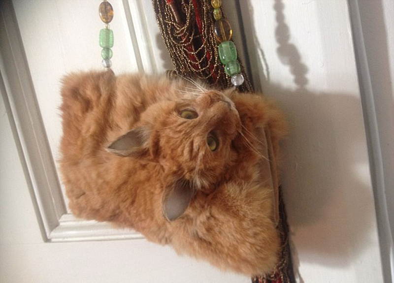新西兰网拍猫咪标本手提包 起价1400美元(图)