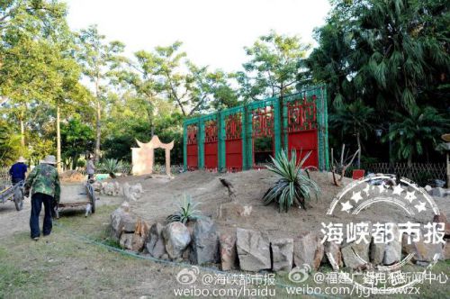 福州西湖公园国庆首办多肉植物展 7万株多肉参展