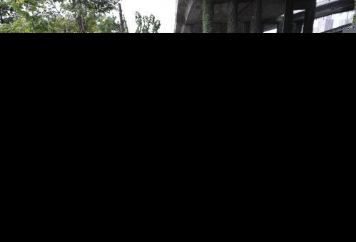 福州光明港三环桥下花圃被倒了渣土
