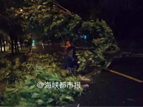 “鲇鱼”凌晨惠安登陆！福州风雨呼啸一夜又看海了