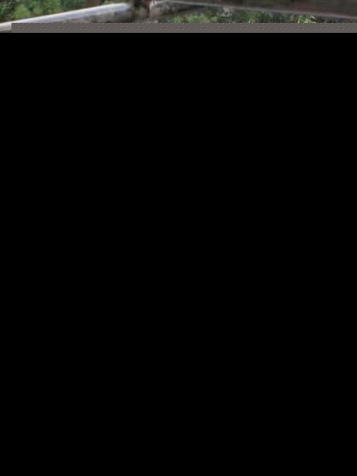 网传图片