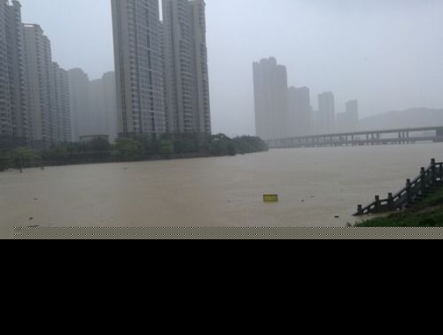 福州琴亭湖水位漫过栈道  垃圾遍布湖面