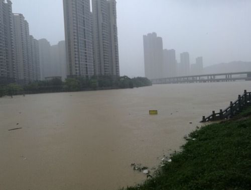 福州琴亭湖水位漫过栈道  垃圾遍布湖面