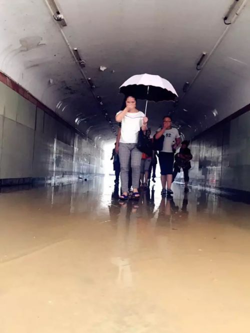 福州主干道最新最全航拍大检阅 台风36小时后城市“脑血栓”还剩多少