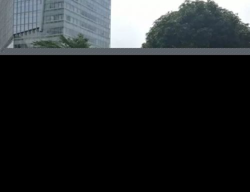 福州主干道最新最全航拍大检阅 台风36小时后城市“脑血栓”还剩多少