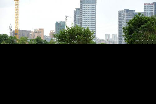 花海公园，绽放的向日葵让游人流连忘返  