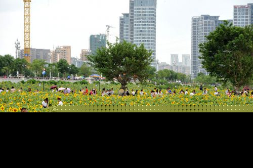 福州多个公园游客如织 “文化游”升温