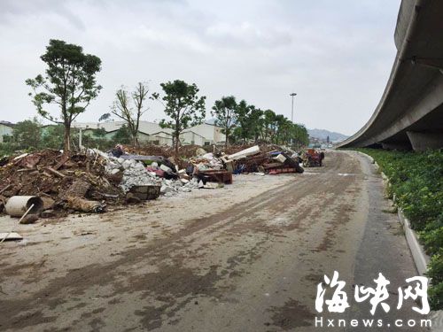 福州螺洲大桥下 渣土掩埋近20棵行道树