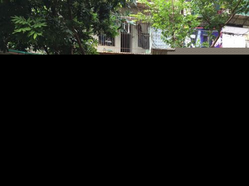 福州上海新村男子砍树建车棚：别人都在建