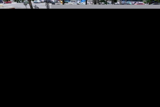 福州闹市区明代古城墙 杂草从生