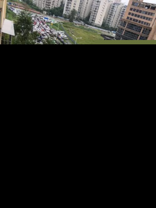 堵+冷+雨 福州入秋了？不！下周还得穿短袖