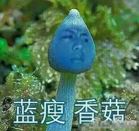 蓝瘦香菇是什么意思有什么梗 蓝瘦香菇本人表情包走红网络