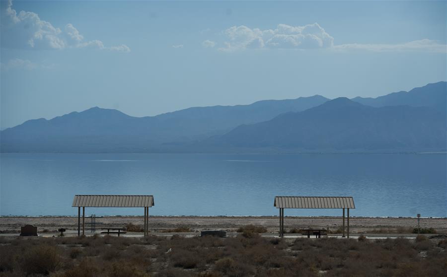 美国加州最大湖泊环境遭人为破坏 死鱼堆满岸边